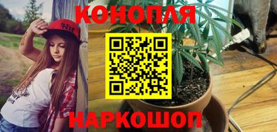 a pvp Обь