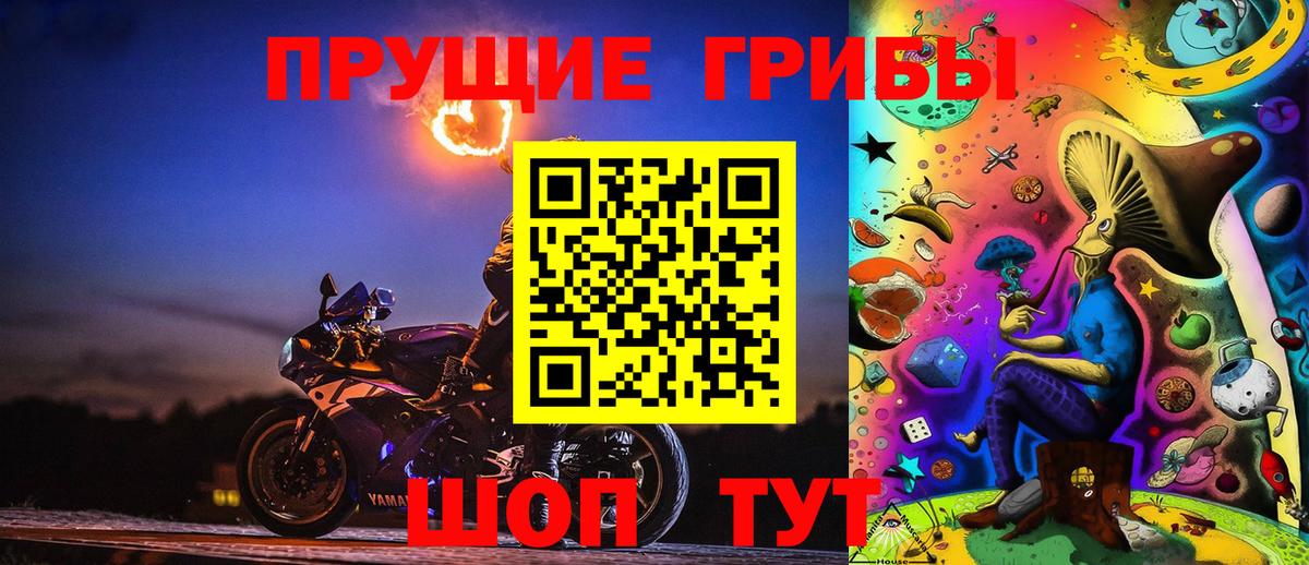 Галлюциногенные грибы Psilocybine cubensis Советская Гавань